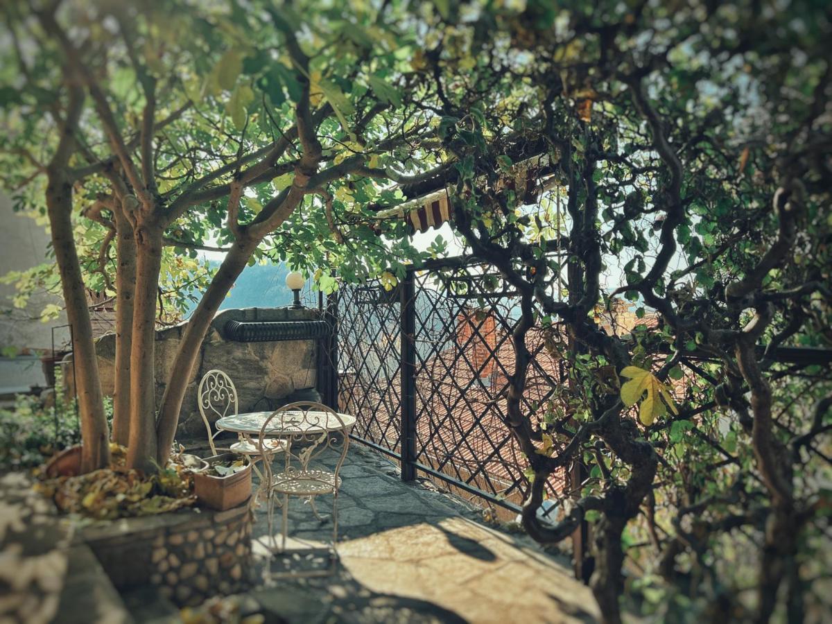 Тhe Bohemian Lodge-Entire House With Sauna เวลีคอเทอร์โนโว ภายนอก รูปภาพ